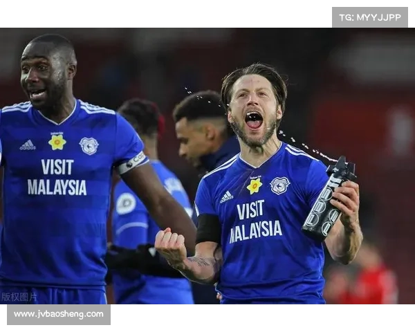 如何通过多种途径了解加的夫城足球队所属联赛及其竞技水平